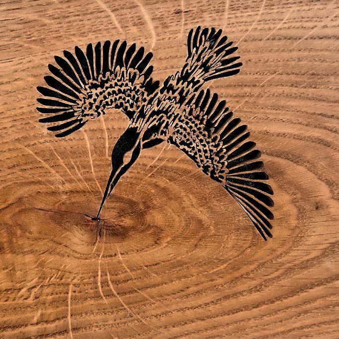 Silhouette of a kingfisher piercing the watery wood grain knot.