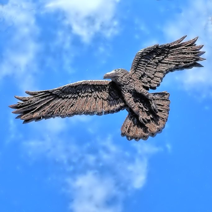 A soaring raven with outstretched wings against a mirror with reflected  blue sky and clouds.